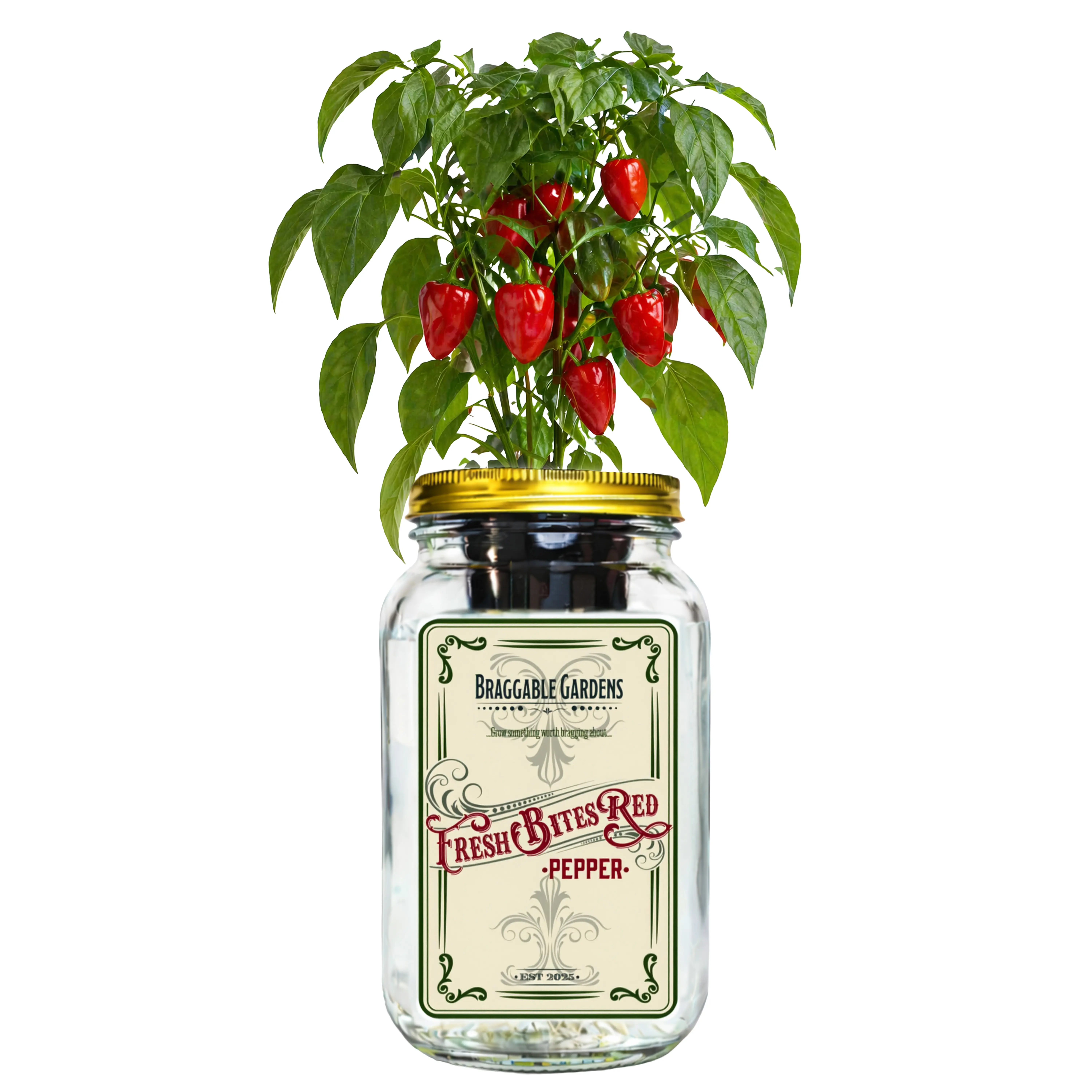 Fresh Bites Red Mini Bell Pepper Indoor Garden Kit – Mason Jar Hydroponic Pepper Grow Kit – Windowsill Countertop Pepper Planter – Grow Sweet Peppers Indoors