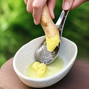 Stainless Steel Ginger Grater Spoon, Manual Garlic Mincer, No Charging Kitchen Tool, Durable Cooking Accessories, Perfect Gift for Holidays
