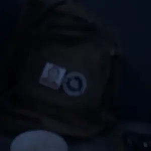 The Horrors Persist But So Do I Patch, 1pc Embroidered Hook and Loop Patches, Funny Animals Appliques for Backpacks, Trucker Hats, Lunch Bags, Vests, Jackets