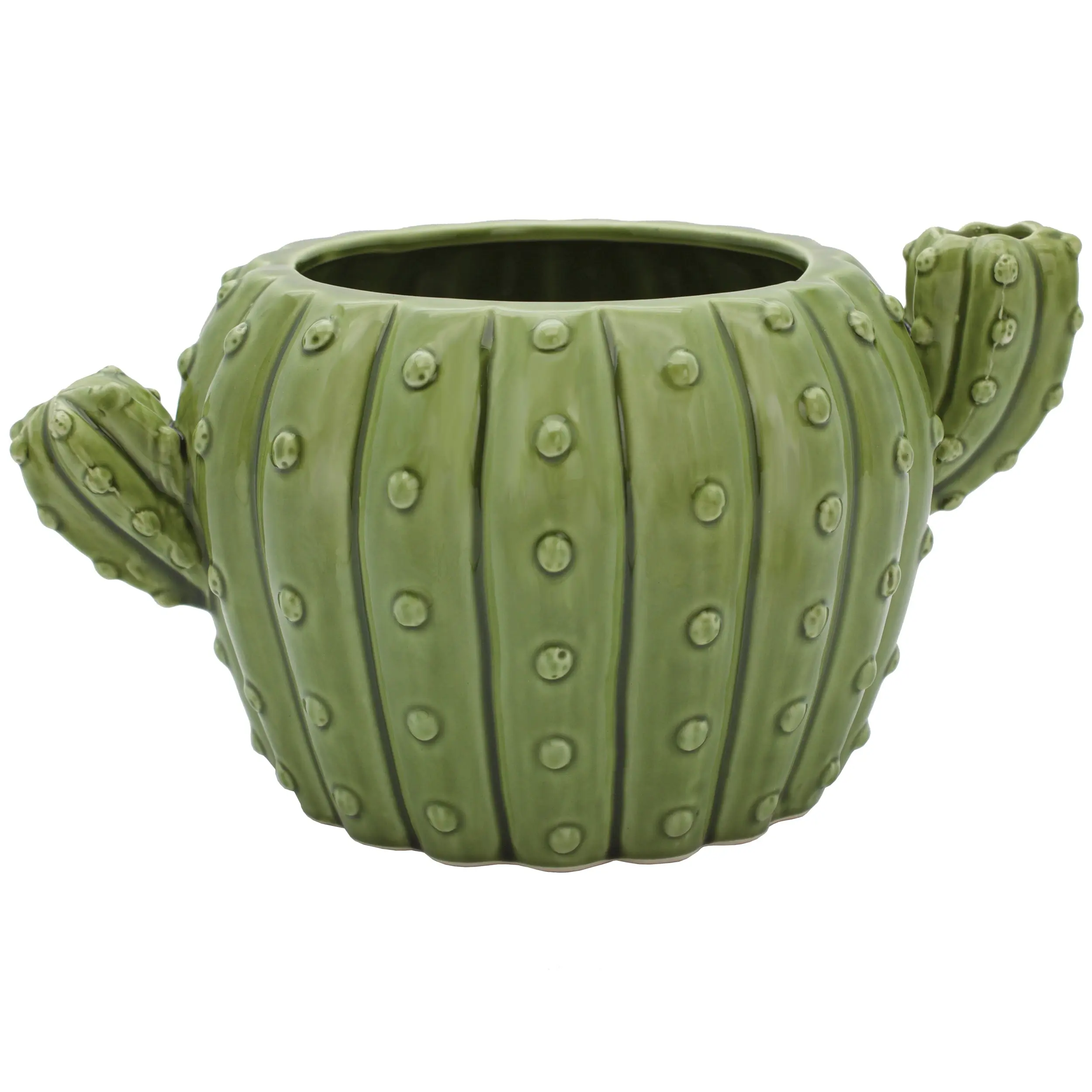 Cactus Planter Cactus Planter