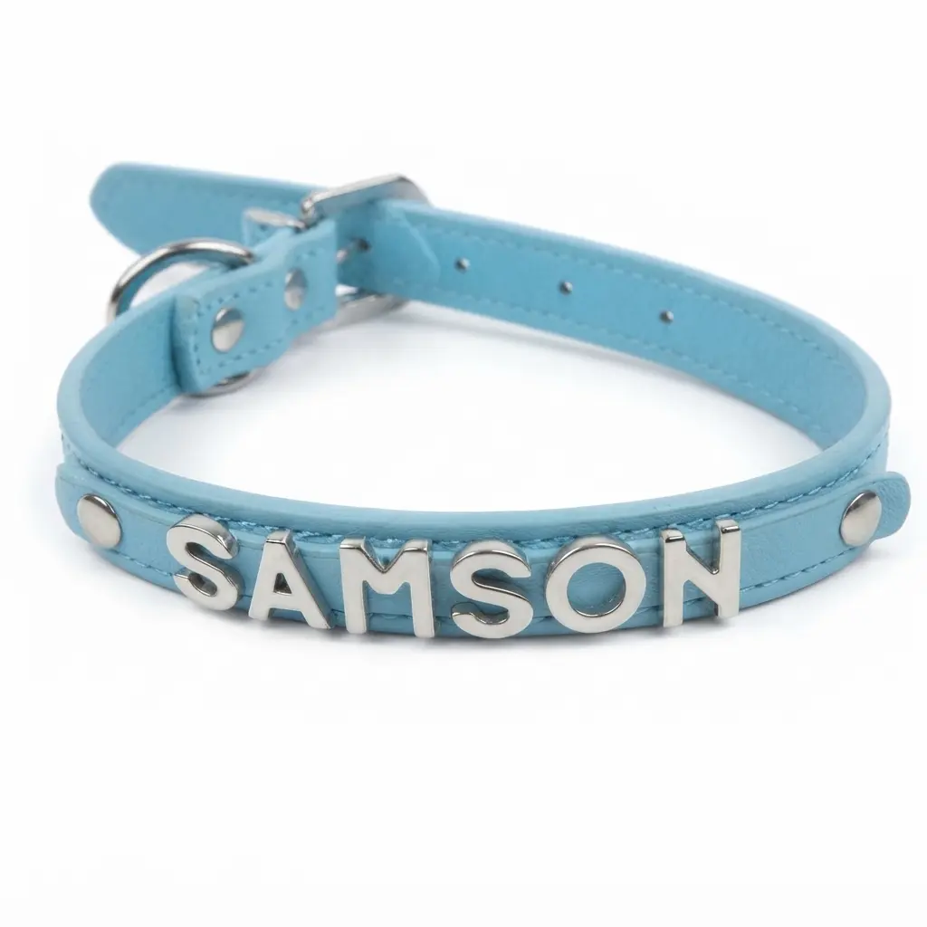 Vegas Classic-Personalized Dog Collar