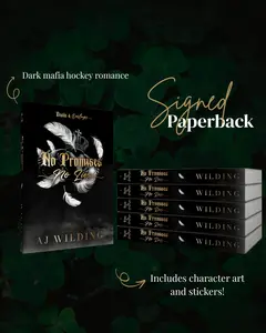 No Promises, No Lies- Imperfect Copy - Signed Paperback - Discreet Edition - Dark Romance