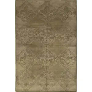 Para Bespoke Beige Hand Knotted Wool Rug