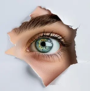 Creative Car Sticker Design – Realistic and Fun Illustration of a Person Peeking Outside from Inside the Car, Perfect for Vehicle Decoration, Car Enthusiasts, Funny and Unique Automotive Accessories, Customizable Decals for Cars, Trucks, SUVs, and Vans.