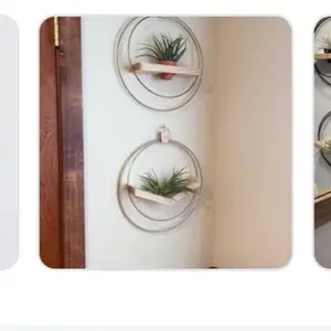 V-Hanger & Shelf Mixed Duo Air Plant Decor, Space-Saving Hanging Home Decor Hook & Shelf Set