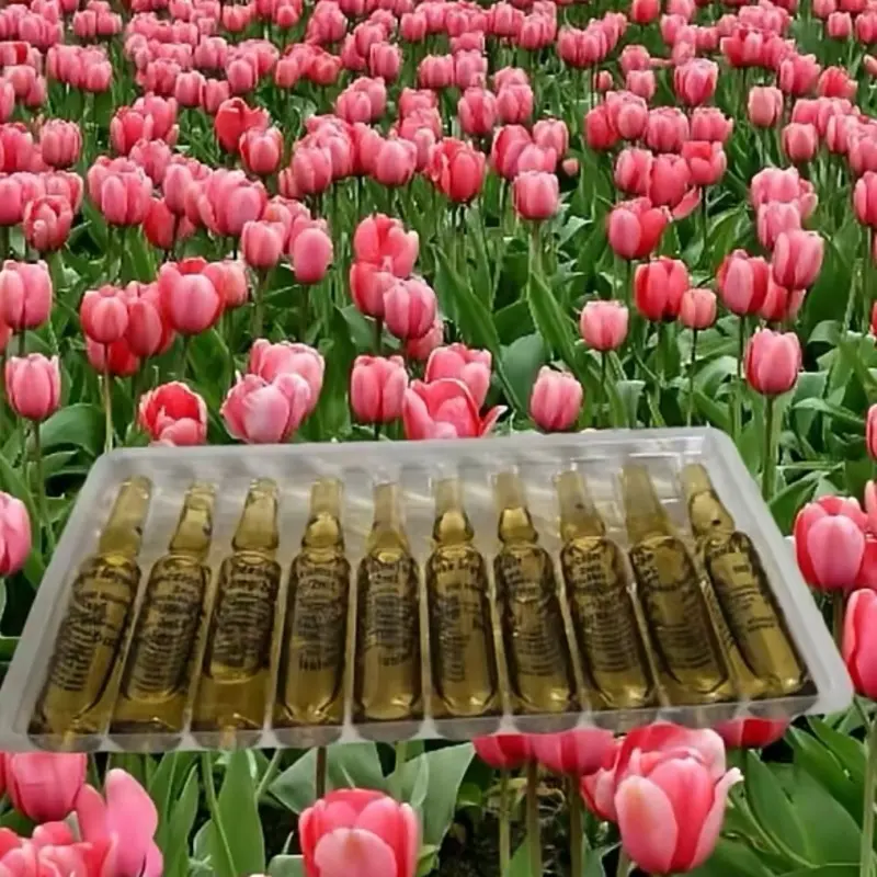 Universal flowers chocolate ti anpoul Dessert Snack