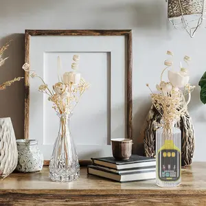 Bouutiq V5 Reed Diffuser Set 5.1 oz Empty Bottles and 36 Empty Bottles with Baby's Breath High-end and Beautiful for Bedroom Bathroom Home and Office Decor