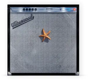 The Neighbourhood - (((((Ultrasound)))))+  [VINYL RECORD - LP] Colored Vinyl, 140 Gram Vinyl, Orange