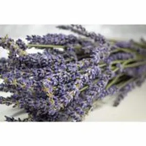 Natural Dried Lavender Bouquet - 4 oz Solid Air-Dried Lavender for Centerpieces & Handmade Fresheners Grade A & B