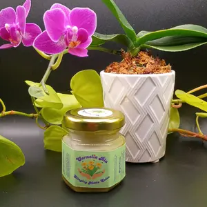 Stinging Nettle-Dandelion Salve, Natural Relief for Pain and Inflammation