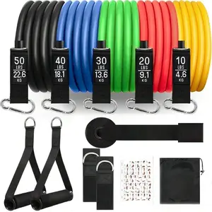 CHARMEEZ 11 Piece Resistance Bands Set, Exercise Bands, Work Out Bands With Handles, 10-50 LBS, Color Coded Exercise Bands, Exercise Guide, Storage Bag