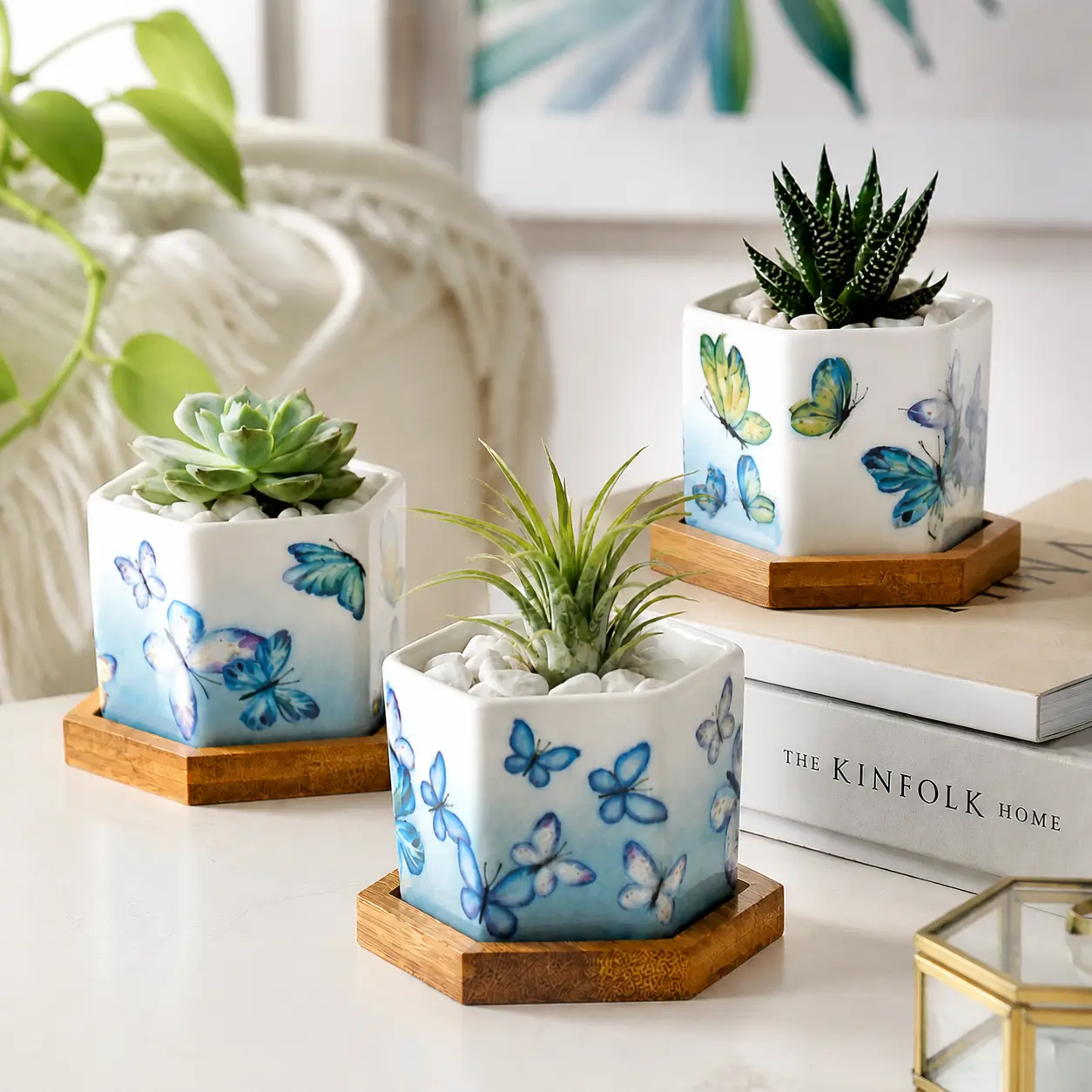 Hexagon Planters (Set of 3) | Butterfly Bloom