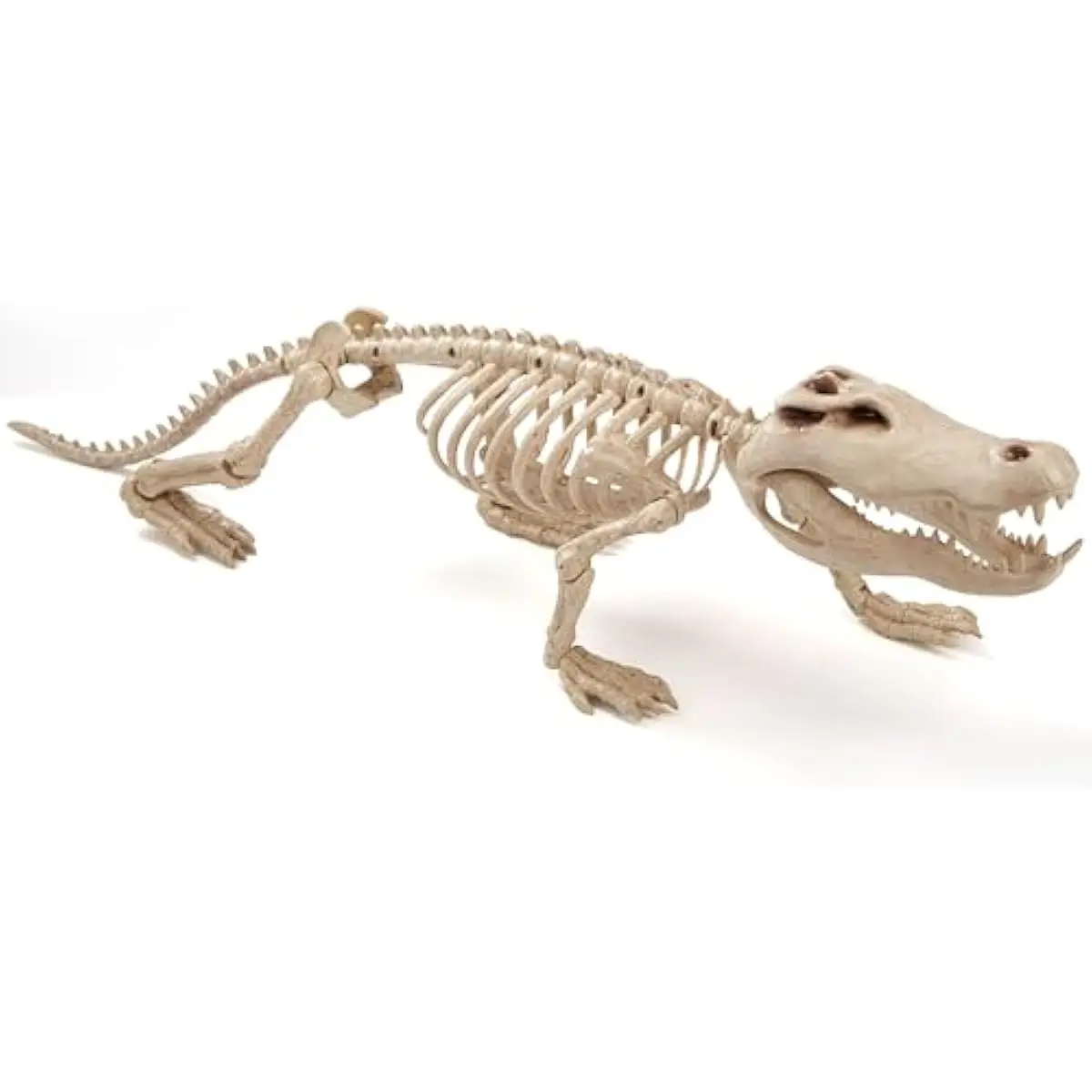 28" Skeleton Crocodiles Halloween Decorations with Posable Joints, Plastic Skeleton for Halloween Party Outdoor Indoor Decor, Spooky Animal Courtyard Yard Patio Lawn Garden Props Decor(1PCS)