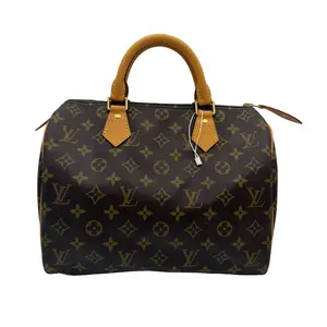 Pre-owned Louis Vuitton Monogram Canvas Speedy 30 Top Handle Handbag