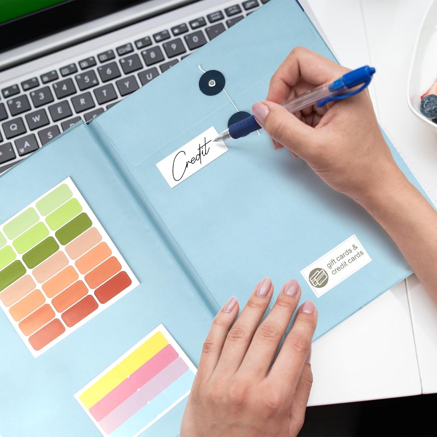 Important Document Organizer by Savor | Binder with Guided Labels, Acid-Free File Folder Organizer with 10 Pockets, Document Holder for Home Records, Legal and Medical Papers (Blue)