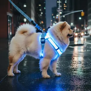 LED Dog Harness Leash Set, Light Up Reflective Vest for Small Medium Large Dogs, Adjustable Waterproof for Night Walking Safety, dog products,dog leash with light