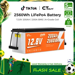 [Summerwins]CTOLITY CT200-12 12.8V 200Ah LiFePO4 Battery Built-in 200A BMS 2560Wh A Grade Cells 4000+ Cycles Solar Generator System RV for Smartphone Charge