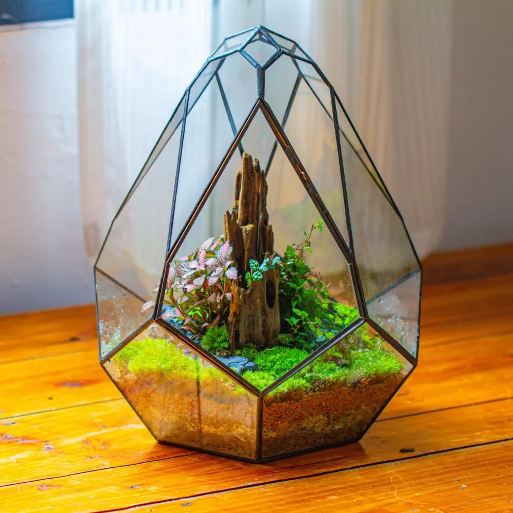 Propagation Station 13" Large Teardrop Geometric Terrarium, Close, with door