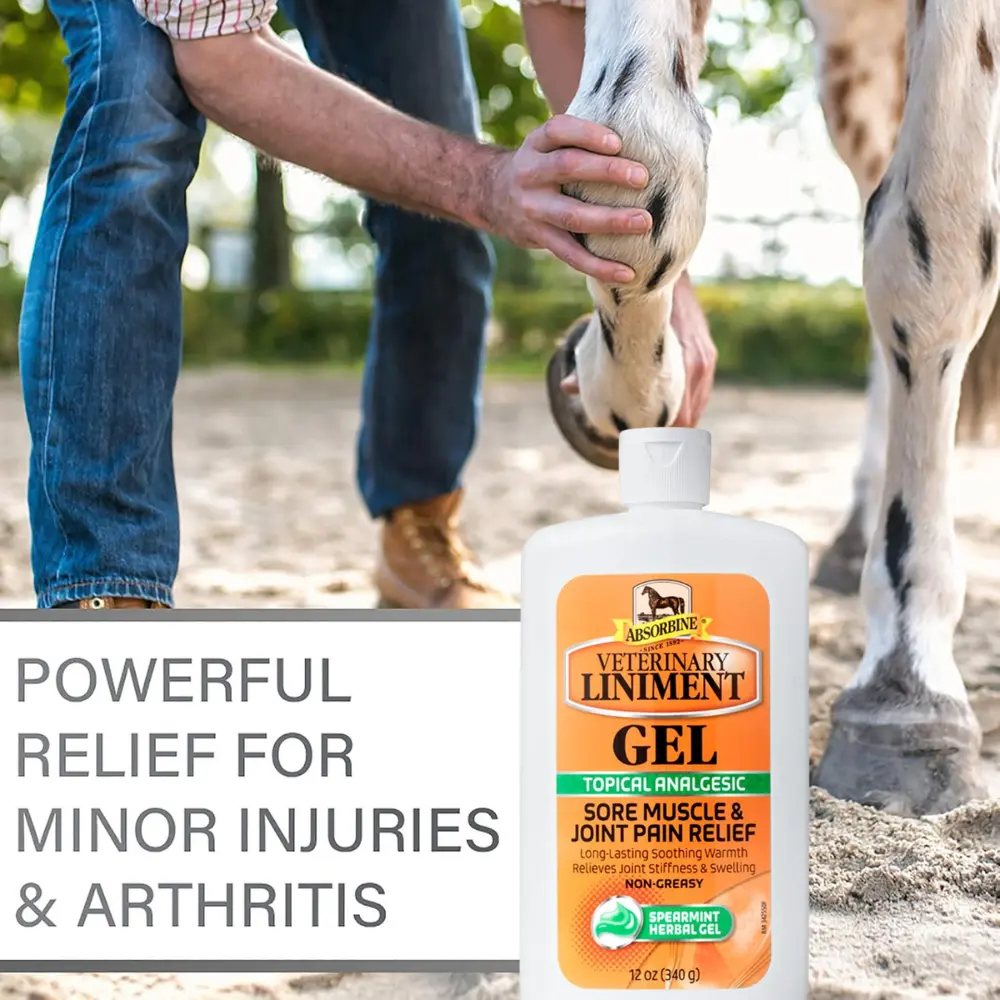 Veterinary Liniment Topical Analgesic Sore Muscle and Arthritis Pain Relief Warming Liniment Rub, 12 Ounce Gel