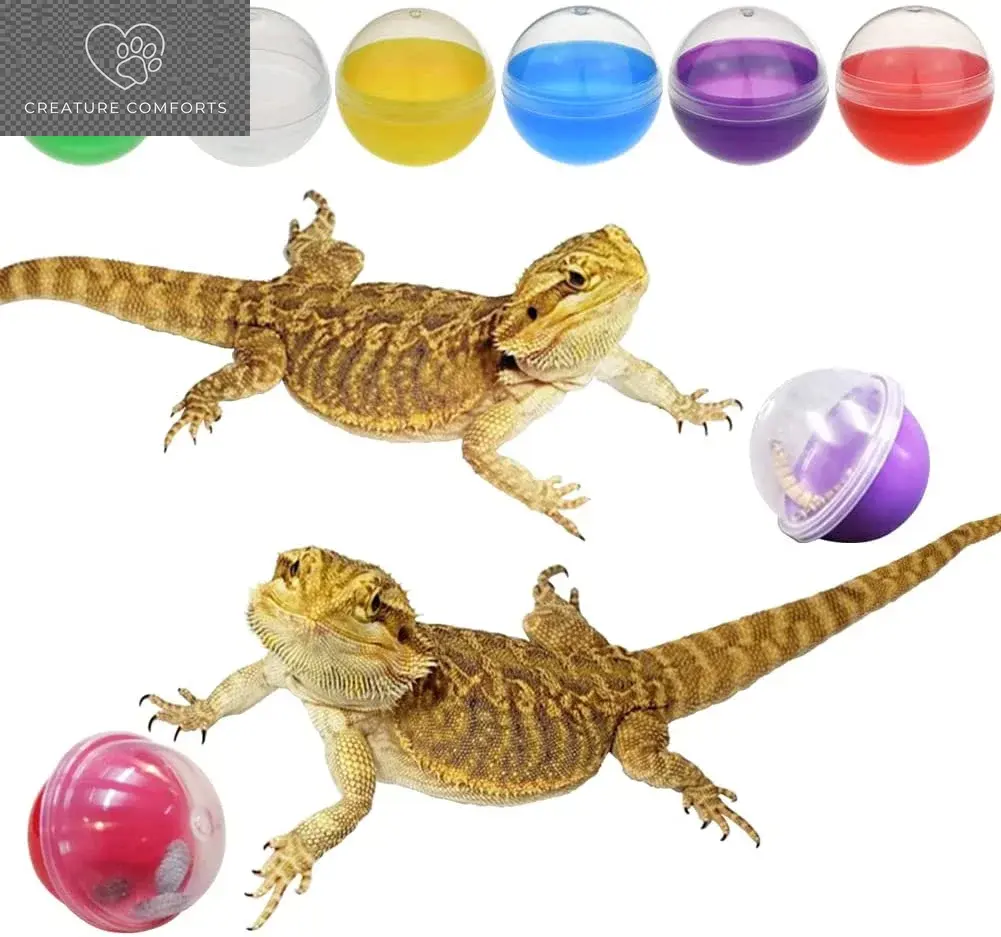 Vehomy Colorful Translucent Interactive Feeding Toy Ball Set - 6-Pack for Bearded Dragons and Small Animals, Set Pack