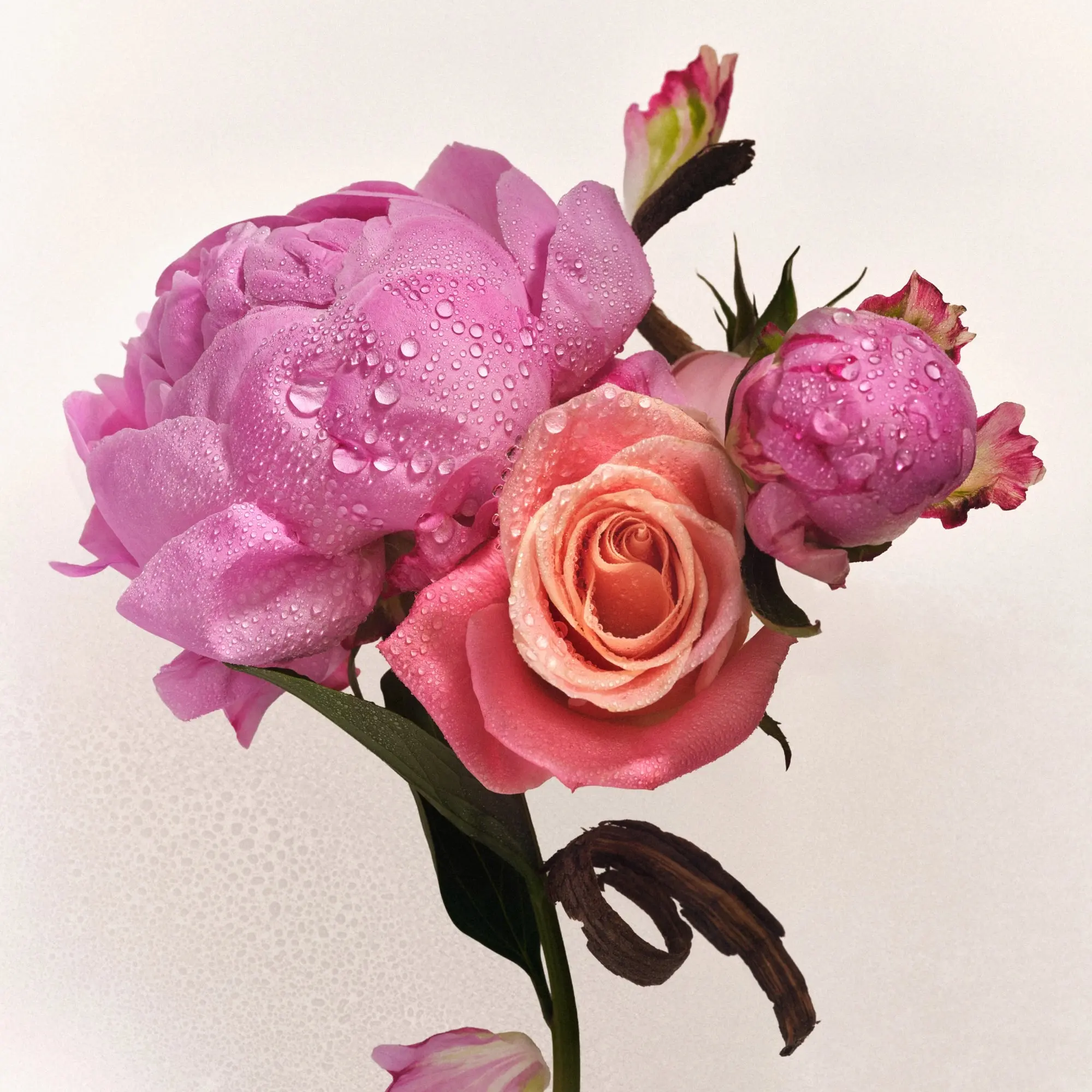 Petal Bloom - Athena Club Lotion & Mist Duo | Hydrates & Softens