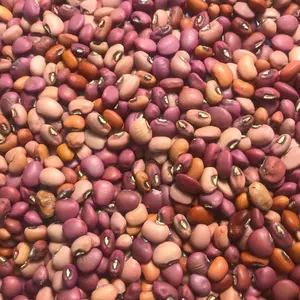 Iron & Clay Cowpea Seeds (Vigna unguiculata) – A classic cover crop that doubles as a heat-tolerant food source. Fixes nitrogen, suppresses weeds, and produces edible pods and peas. Popular for food plots and soil building.