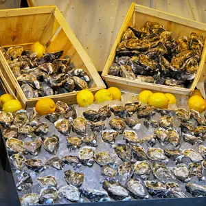 Miyagi Oysters - Fresh Pacific Northwest Oysters | Sustainably Farmed