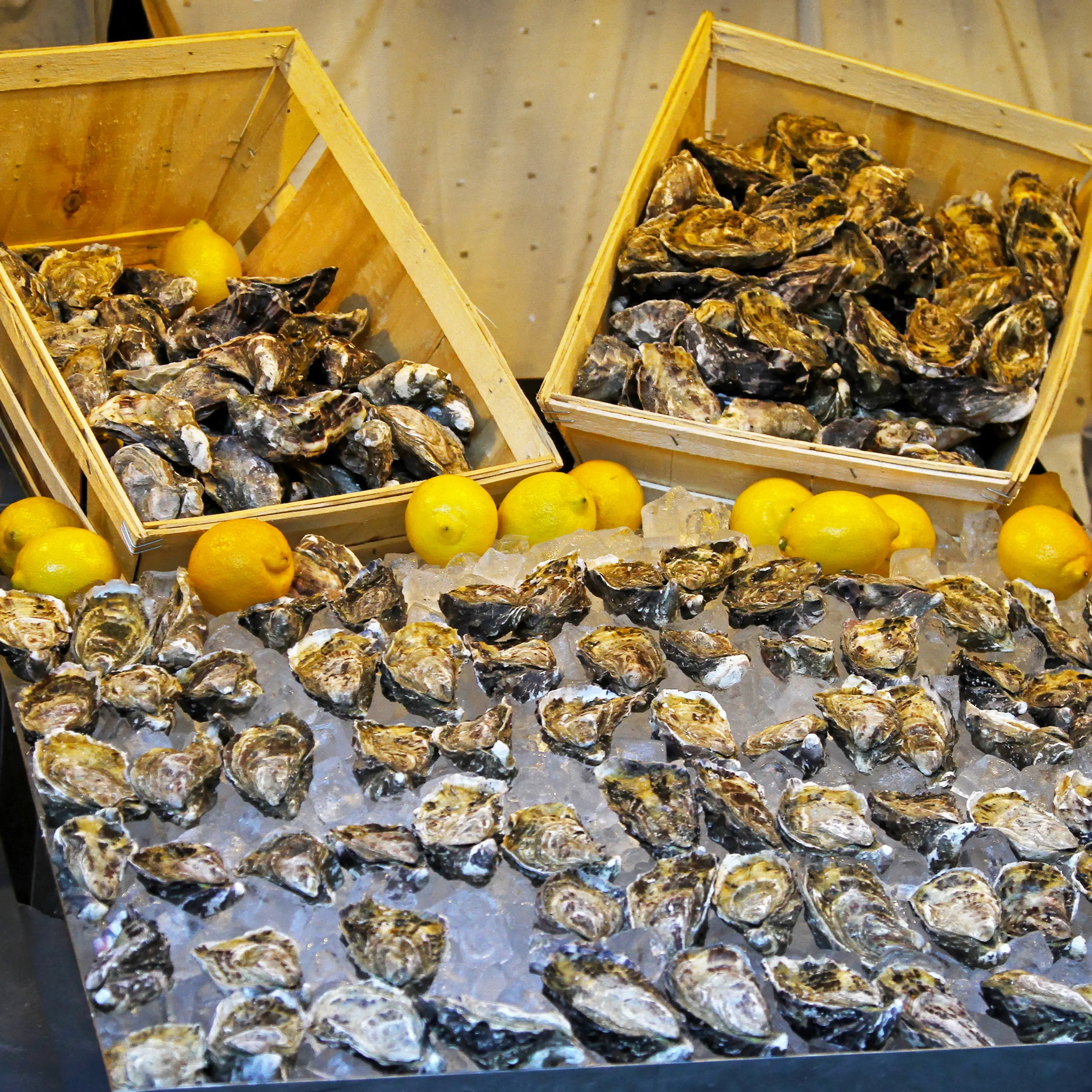 Miyagi Oysters - Fresh Pacific Northwest Oysters | Sustainably Farmed