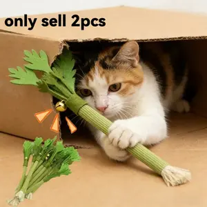 2pcs Cat Chew Toys Catnip Cat Teeth Cleaning Toy Interactive Self Playing Catnip Molar Stick Toys Bite Squeaky Cat Toy