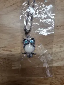 Owl Pendant and Necklace