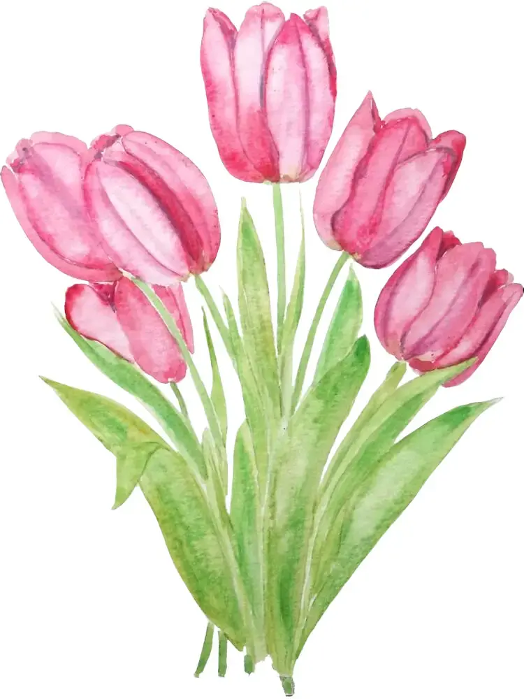 Car Exterior Hand-Painted Pink Tulip Watercolor Art Sticker