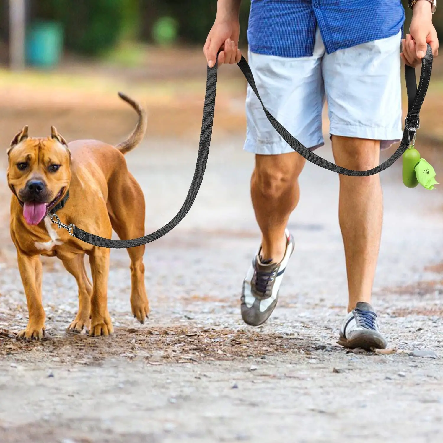 Trendy Tron Reflective Dog Leash with Hand Grip