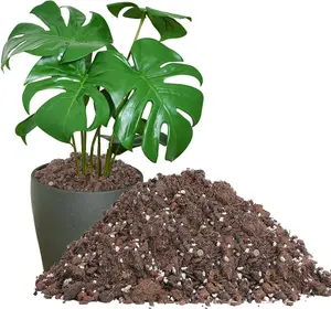 8 Quarts Monstera Soil Potting Mix - Natural Organic Tropical Plant Soil for Improving Growth Rate, Sustainable Houseplants Growing Media