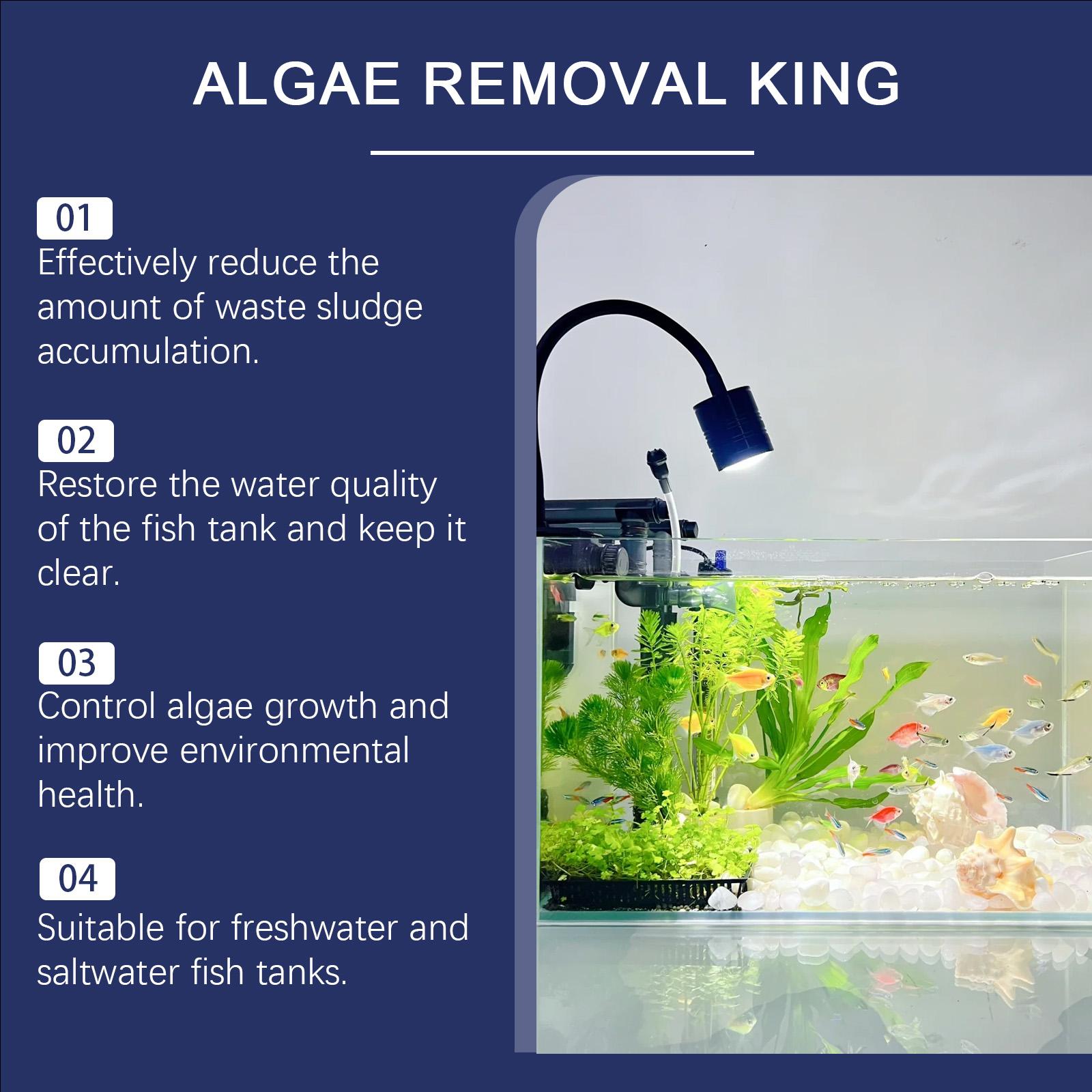 Aquarium Water Clarifier Cleans Tank Stains Removes Moss & Algae Purifies Water Safe for Fish Daily Maintenance Formula