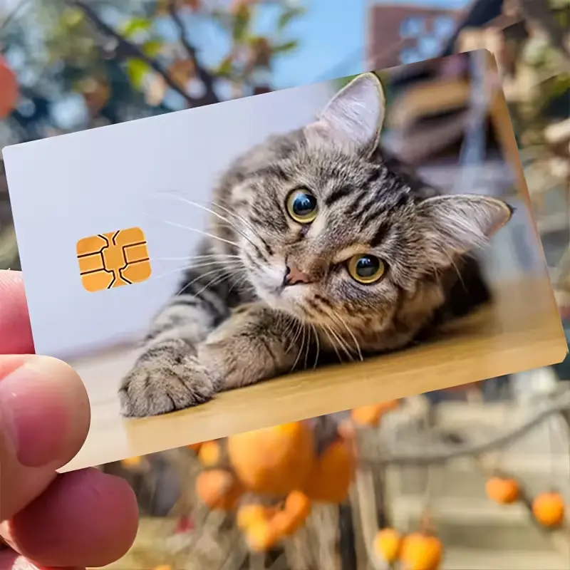 Cute Tabby Cat Credit Card Skin