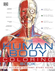 USED-The Human Body Coloring Book: The Ultimate Anatomy Study Guide by DK (Paperback)