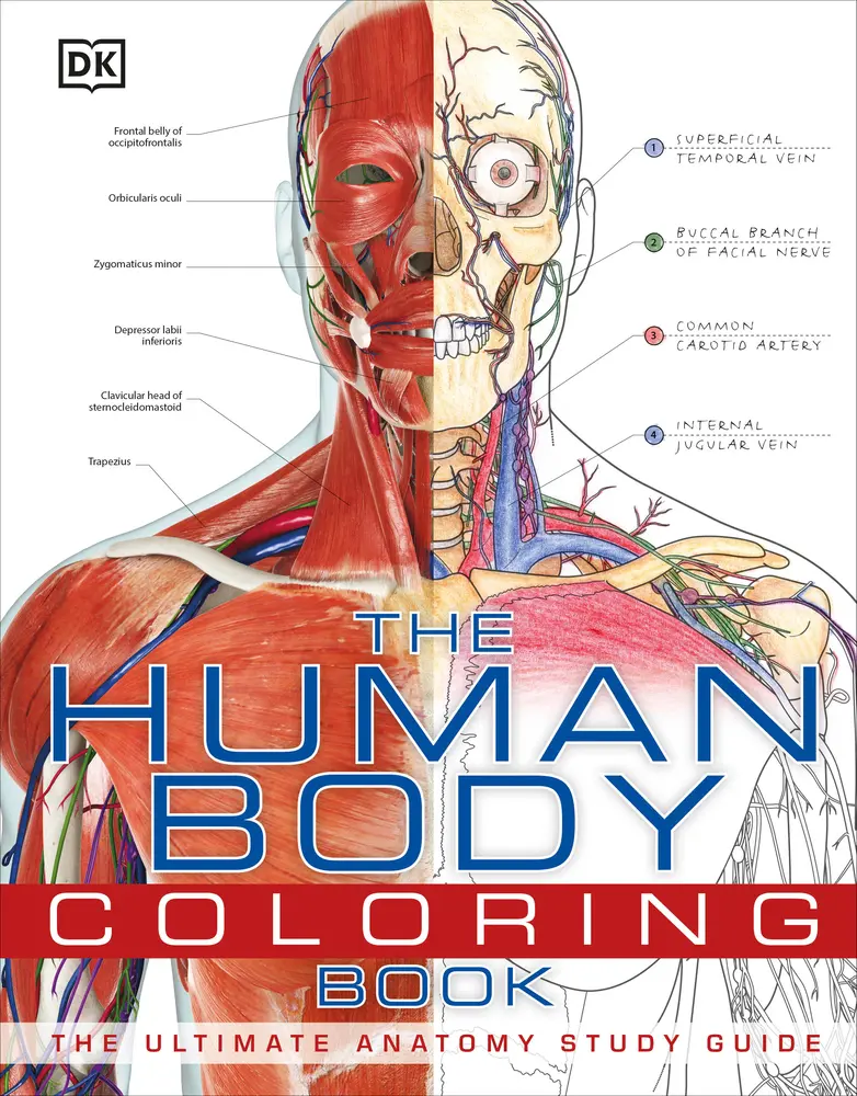 Used The Human Body Coloring Book - Ultimate Biological Anatomy Study Guide, Coloring Pages, Interactive Sketchbook for Medical Students by DK (Paperback)