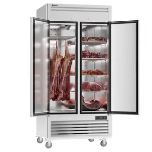 Coolski 40 in. 35 cu. ft. Auto / Cycle Defrost Commercial Freezer Reach in 2 Door Upright Freezer in Stainless Steel