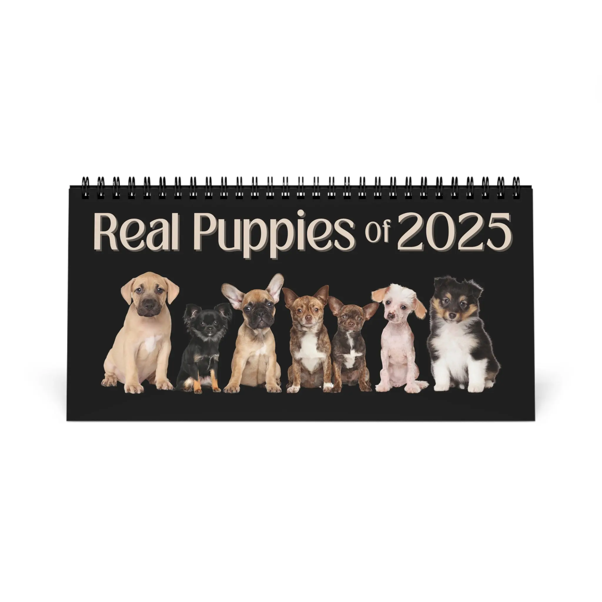 Real Puppies of 2025 Desktop Calendar