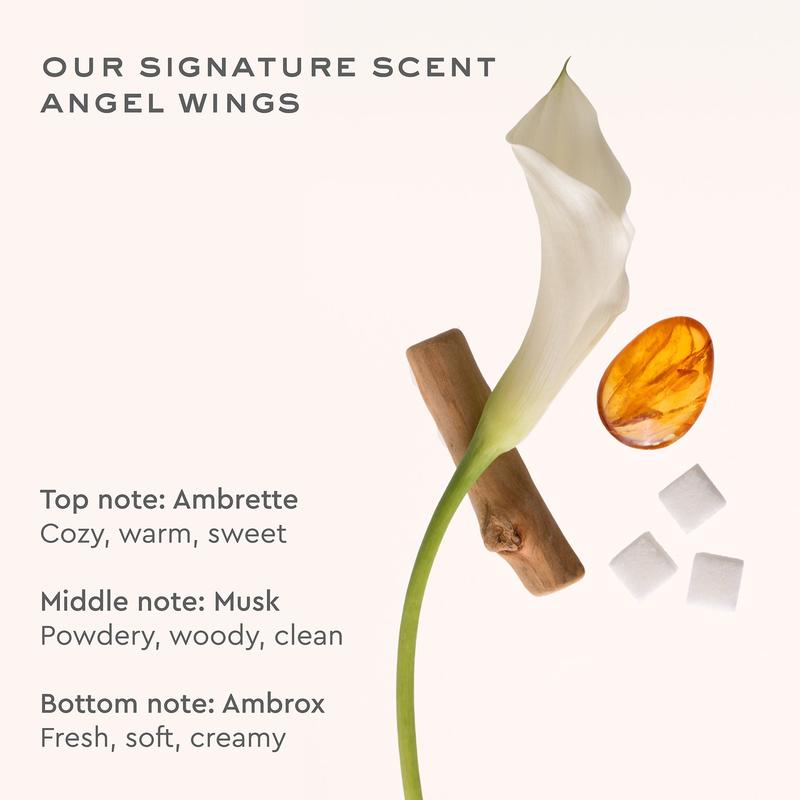 Emi Jay Aura Hair Mist Scented Hair Mist in Angel Wings