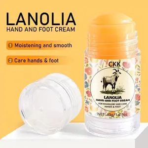 Lanolin & Urea Foot Cream for Dry, Cracked Heels – Moisturizing & Soothing with Salicylic Acid, Jojoba & Aloe Vera, Intensive Foot Care for Rough Skin