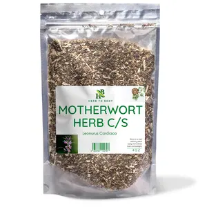 Herb To Body Motherwort Herb C/S | Cut & Sifted | Leonurus Cardiaca | Wildcrafted | 4oz Beverage Tea