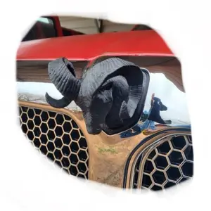 2nd Generation Dodge Ram Grill Ram Head Emblem 95-02 Second Gen trucks. Also can be universally mounted to any flat hood surface.