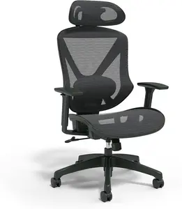 Dexley Ergonomic Task Chair, Mesh, Ergonomic, Lumbar Support, Adjustable Height, Black