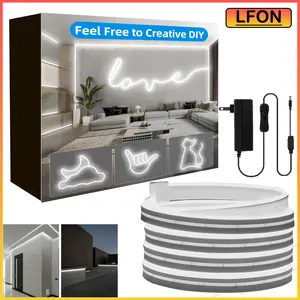 32.8ft/10M 24V IP65 Neon Rope Light, LED neon light with switch control, LED neon light , Christmas use, adjustable flexible neon light strip, New Year, bedroom, party