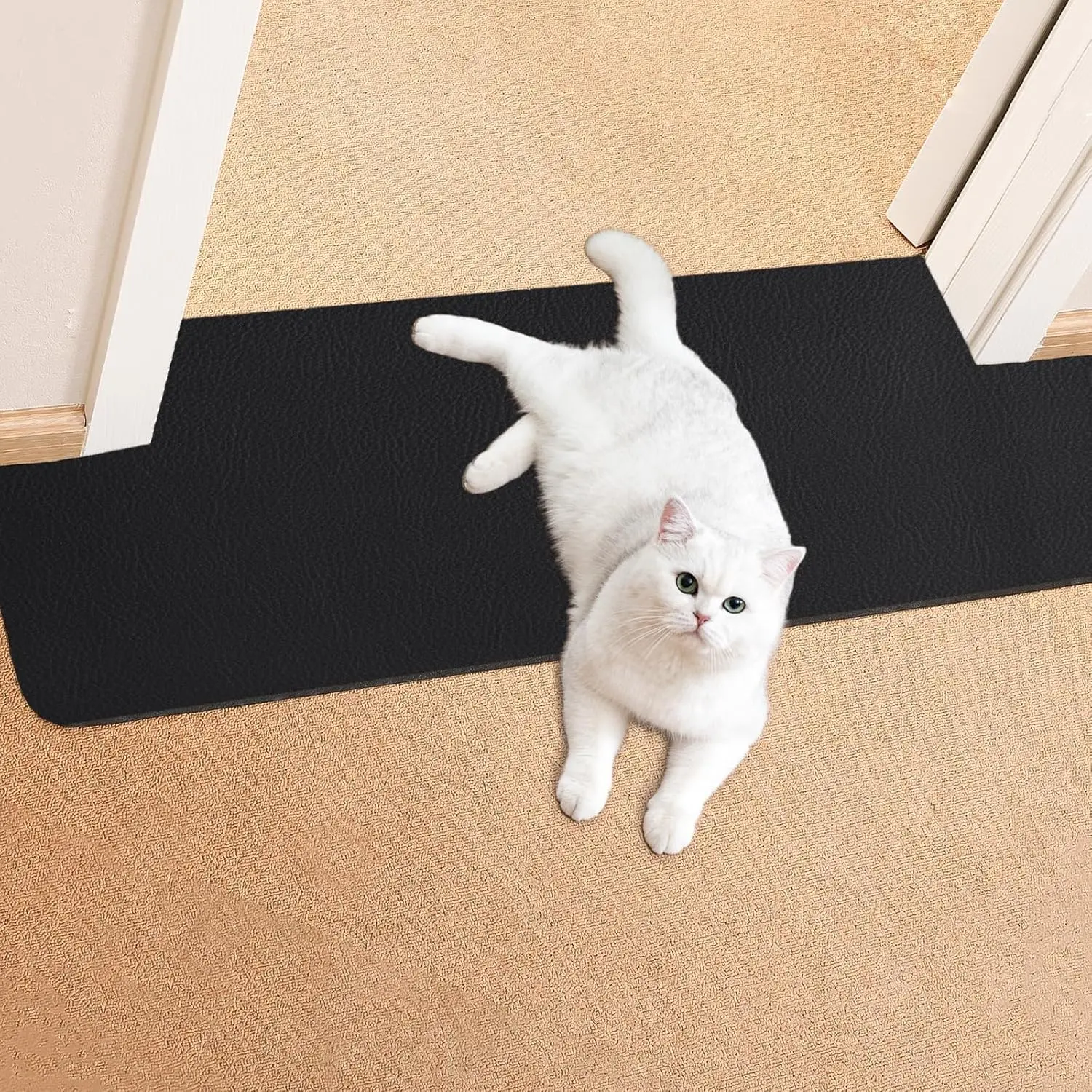 Carpet Protector for Pets -3.6FT 2 count Black Round Corner Plastic Carpet Protector, Under Door  Carpet Protector for Doorway, Anti  Scratch Carpet Mat, Stop Cats from  Carpet