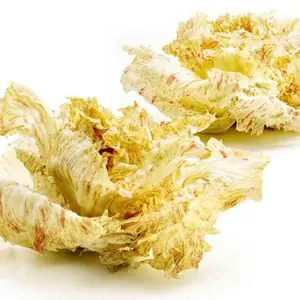 Endive Seeds - Castelfranco