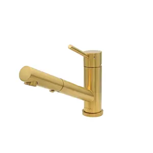 Bali - Stainless Steel 1 Handle 2-Function Pull-Out Swivel Kitchen Faucet with Baseplate