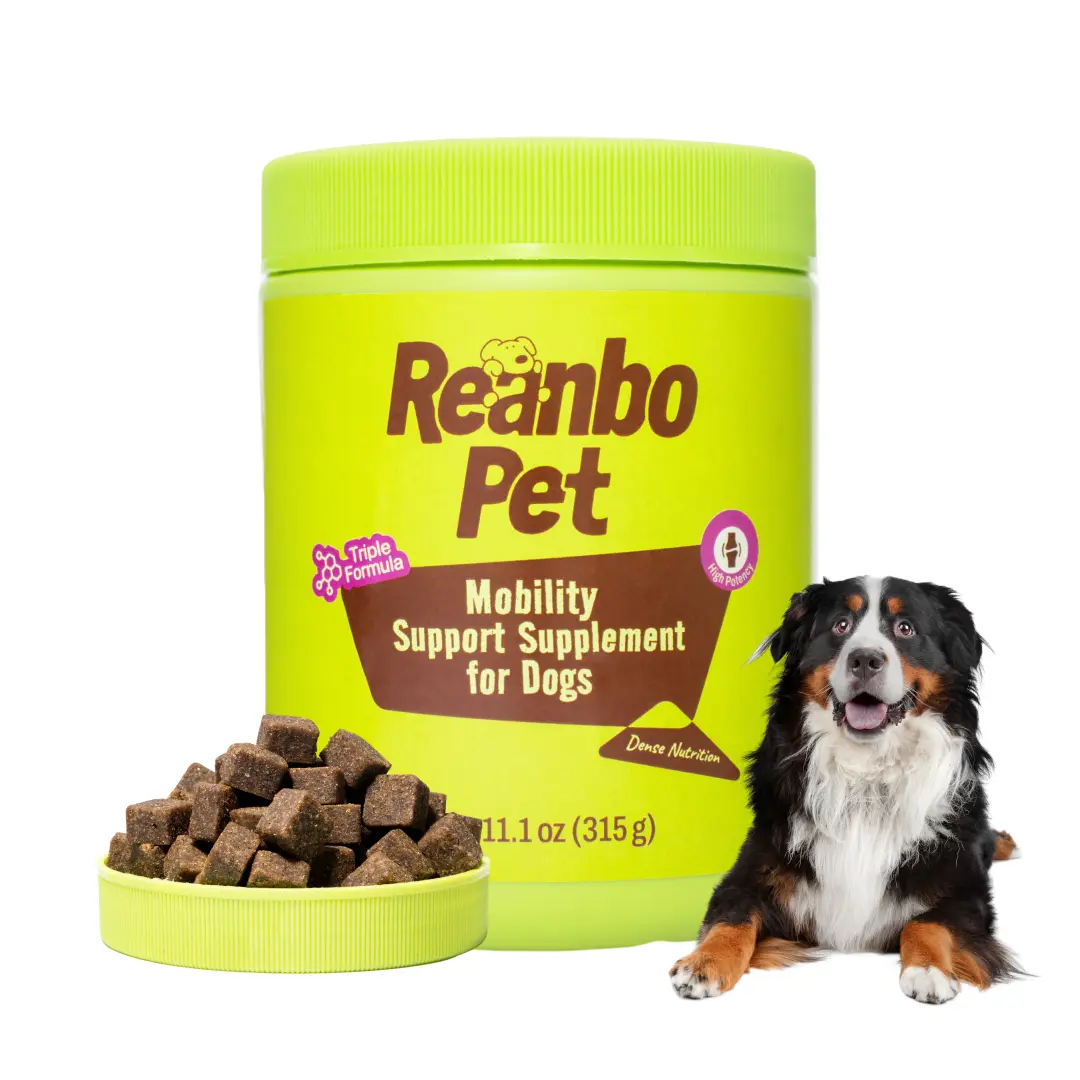 ReanboPet Mobility Support Supplement for Dogs - 90 Chewable Tablets - Natural Pet Care High Protein Treats
