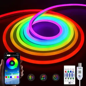 USB Powered RGBIC LED Neon Light Strip with App and Remote Control, Color Changing Ambient Light for Bedroom Living Room and Christmas Decor Smart